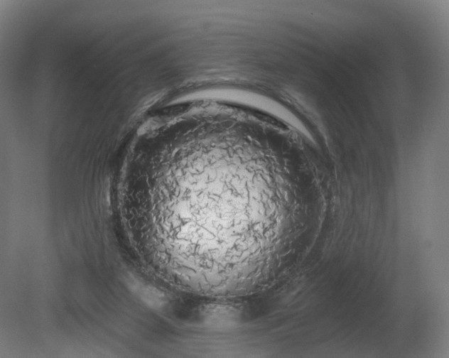 X0000080100115200612151631