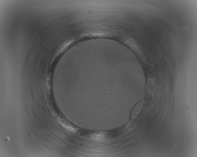 X0000080100116200612151631