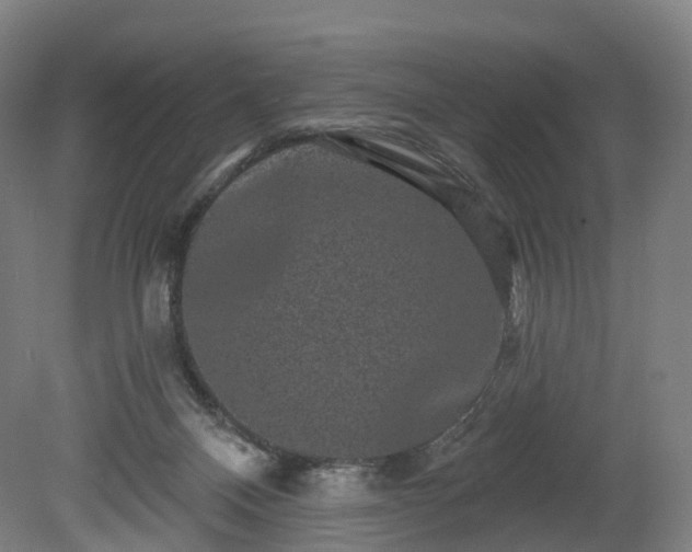 X0000080100120200612151631