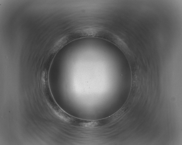 X0000080100122200612151631