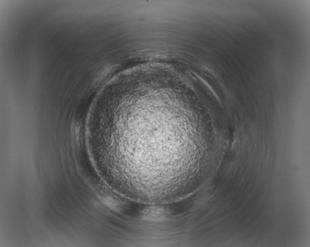 X0000080100123200612151631