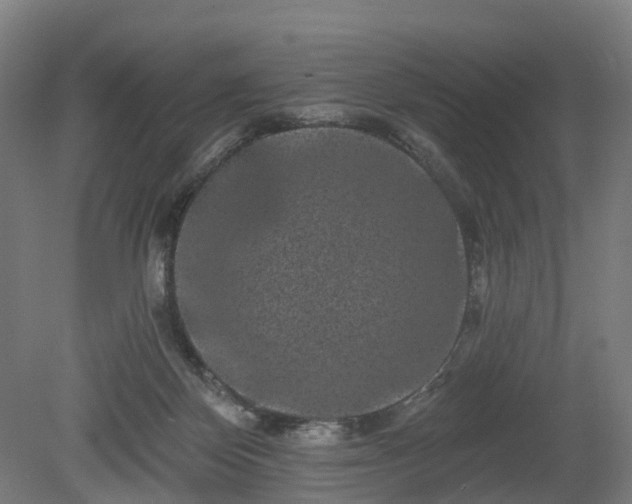 X0000080100124200612151631