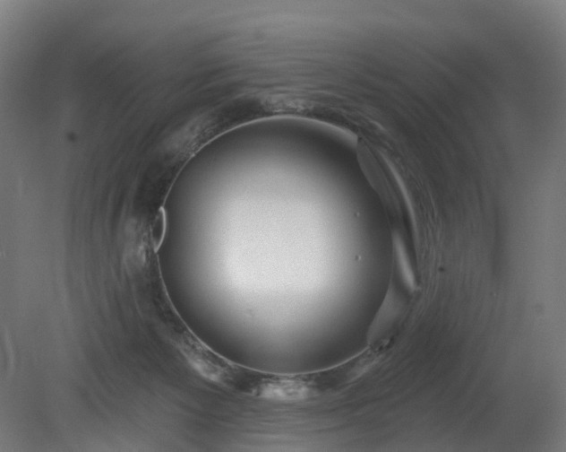 X0000080100125200612151631