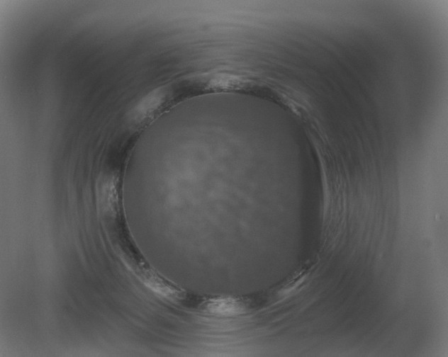 X0000080100127200612151631