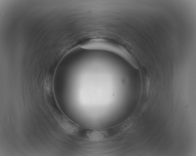 X0000080100129200612151631