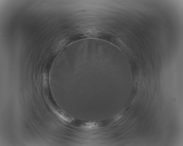 X0000080100130200612151631