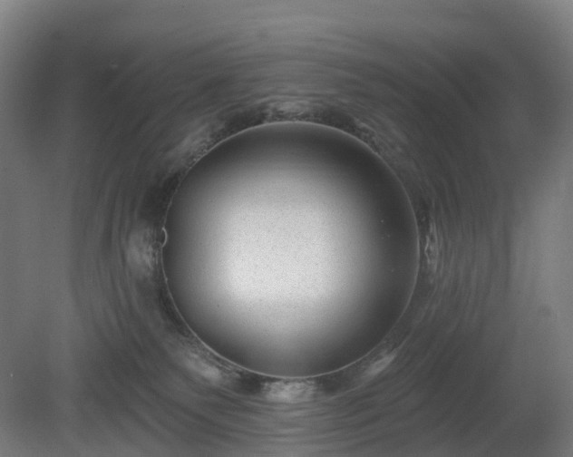 X0000080100135200612151631