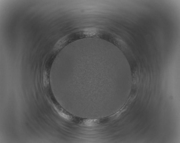 X0000080100136200612151631