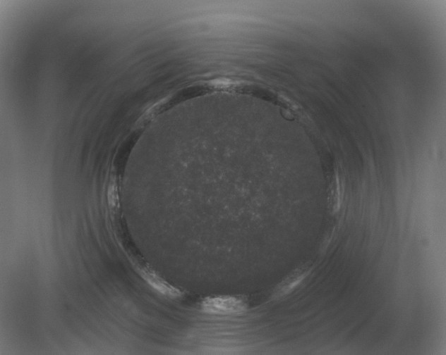 X0000080100137200612151631