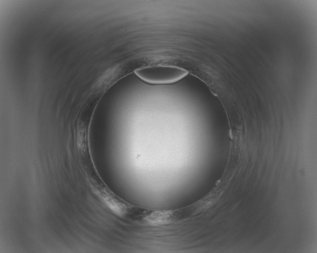 X0000080100138200612151631