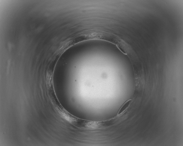 X0000080100142200612151630