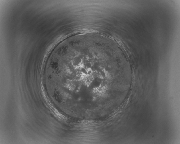 X0000080100145200612151630