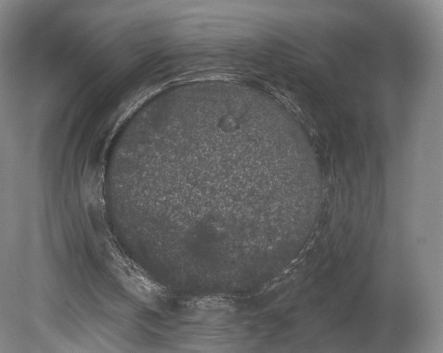 X0000080100146200612151630