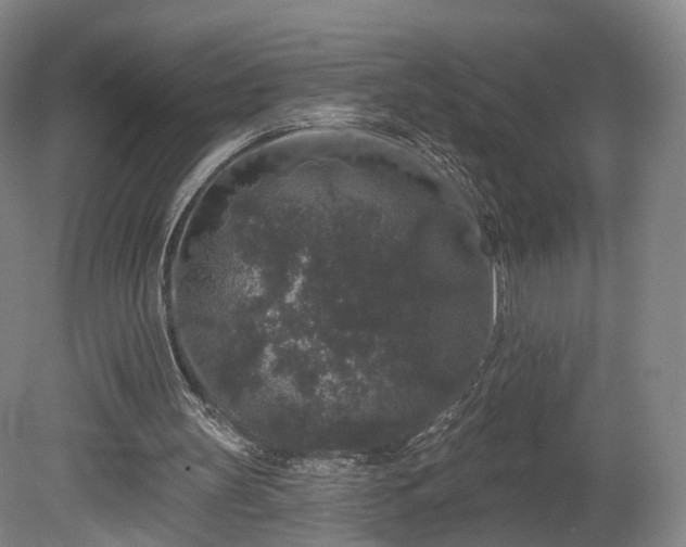 X0000080100147200612151630