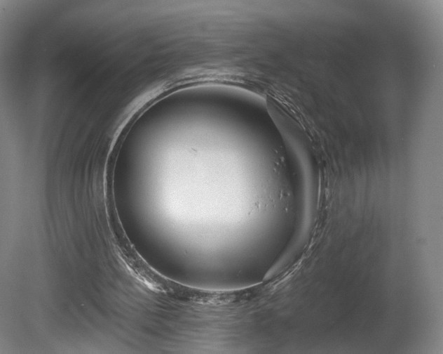 X0000080100148200612151630