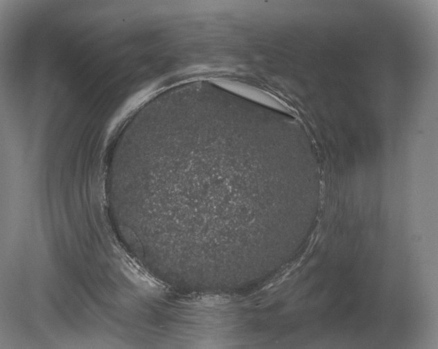 X0000080100149200612151630