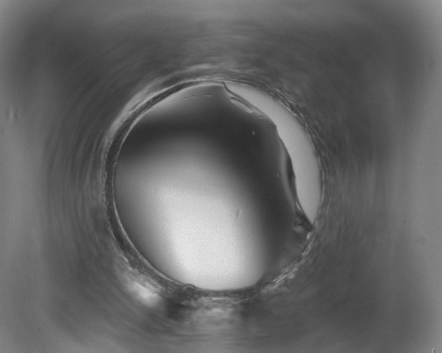 X0000080100150200612151630