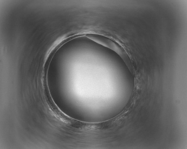 X0000080100152200612151630