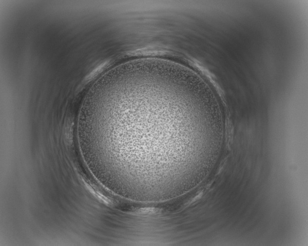 X0000080100153200612151630