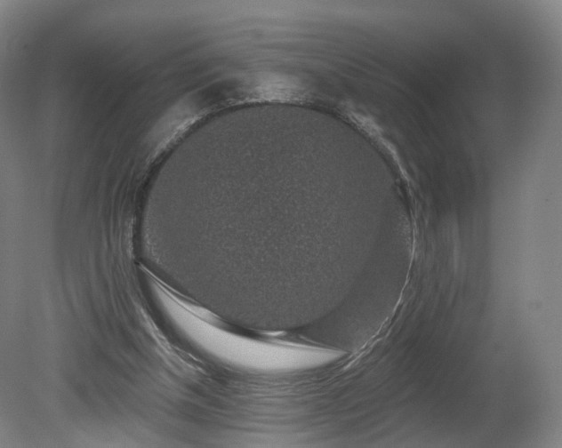 X0000080100154200612151630