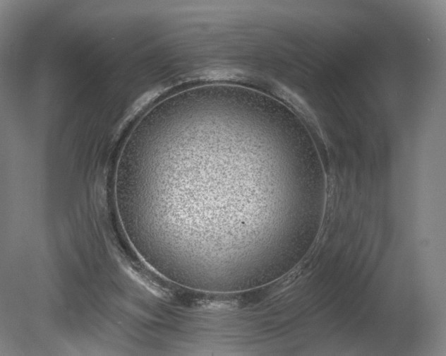 X0000080100155200612151630