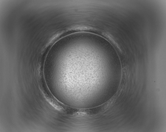 X0000080100159200612151630