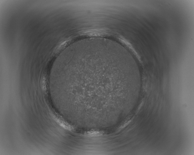 X0000080100161200612151630