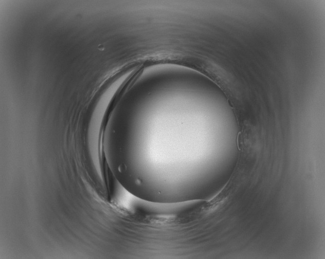 X0000080100164200612151630