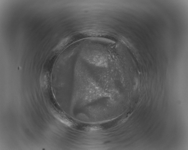 X0000080100165200612151630