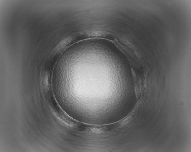 X0000080100166200612151630