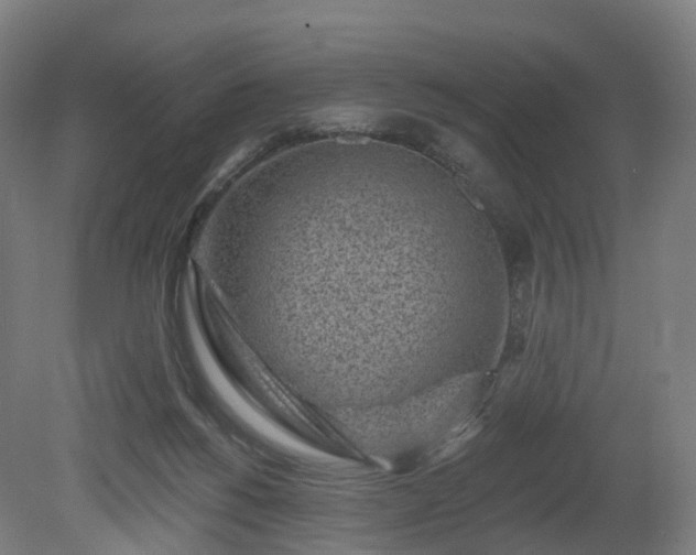 X0000080100168200612151630