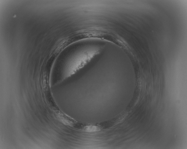 X0000080100169200612151630