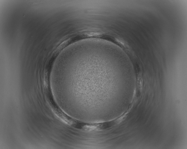 X0000080100170200612151630