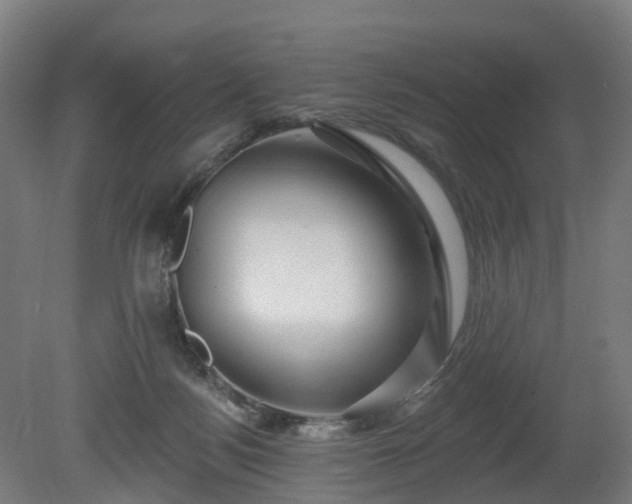 X0000080100172200612151630