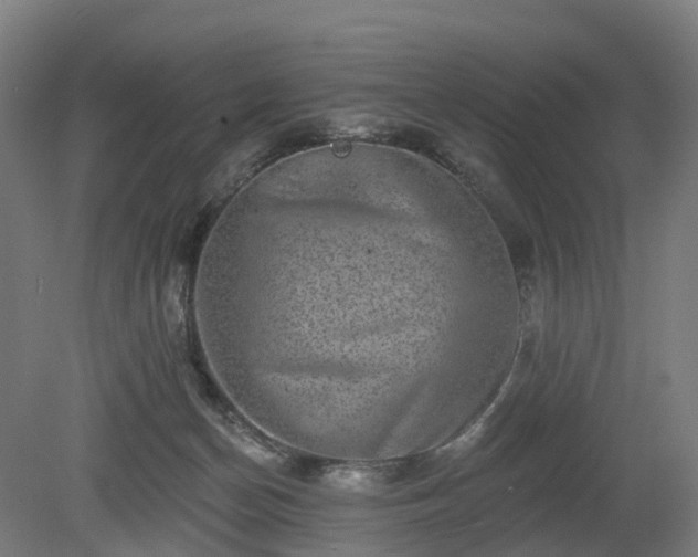 X0000080100174200612151630