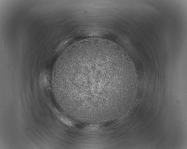 X0000080100175200612151630