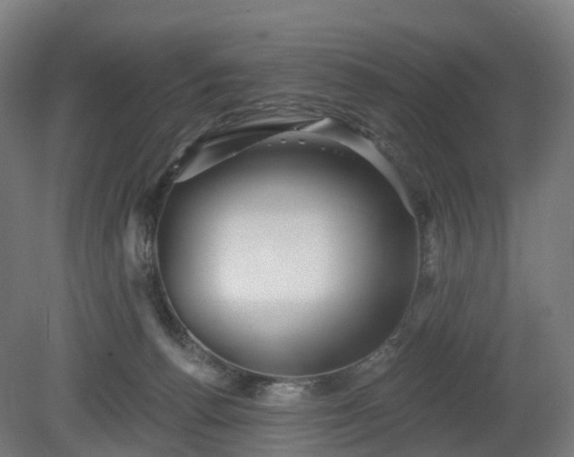 X0000080100176200612151630