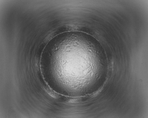 X0000080100178200612151630