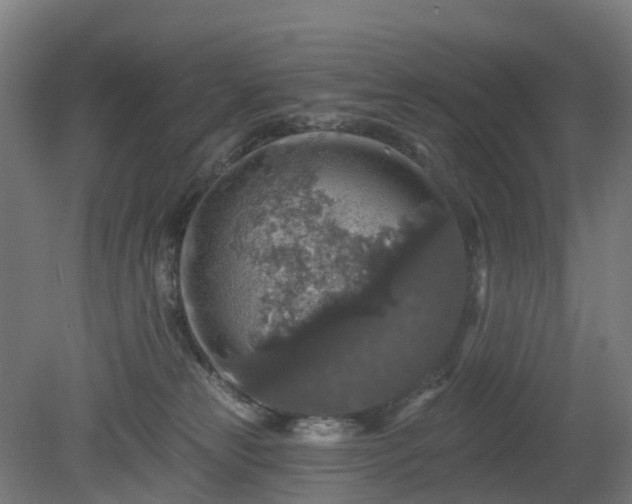 X0000080100181200612151630