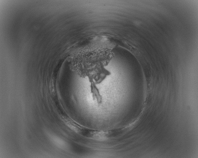 X0000080100182200612151630