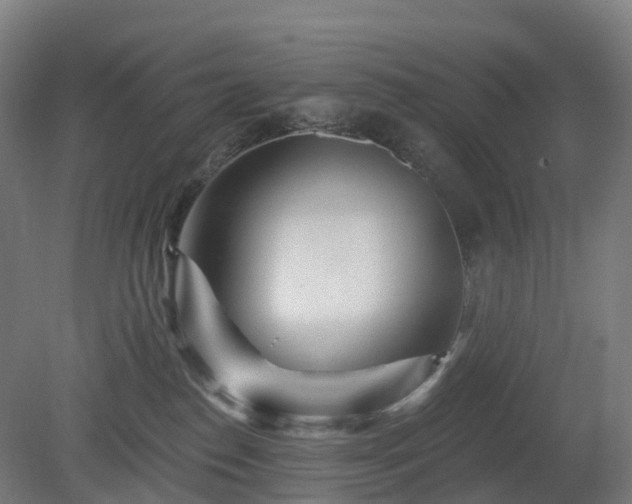 X0000080100186200612151630