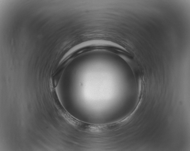 X0000080100190200612151630