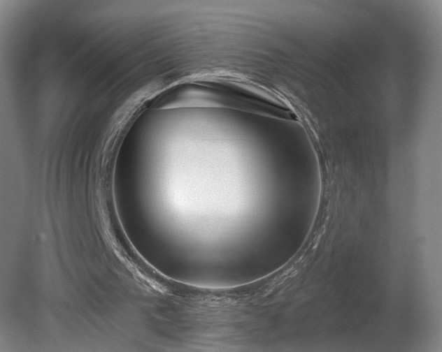 X0000080100193200612151630