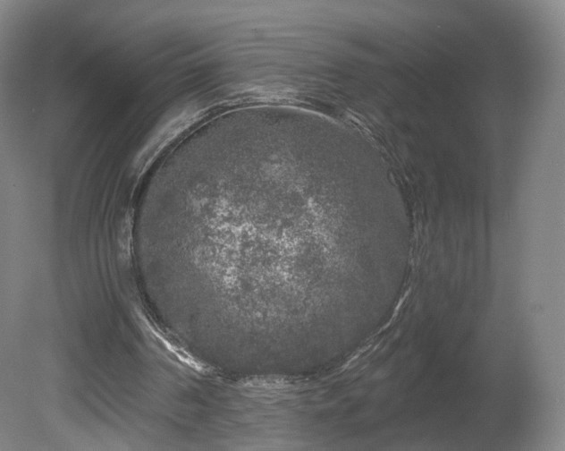 X0000080100194200612151630