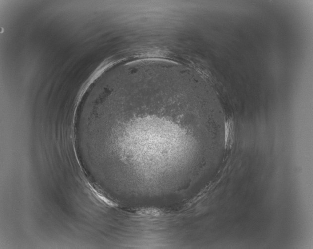 X0000080100195200612151630