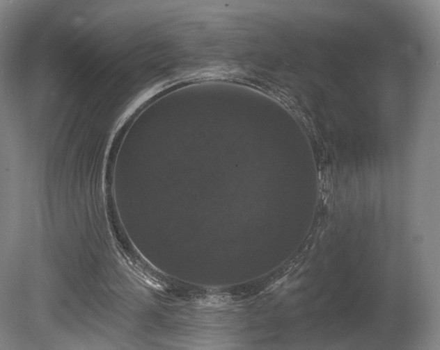 X0000080100196200612151630