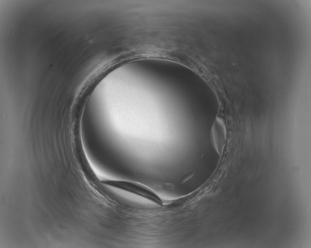 X0000080100197200612151630