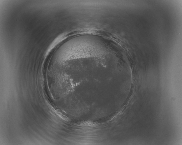 X0000080100198200612151629