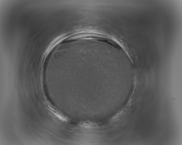 X0000080100199200612151629