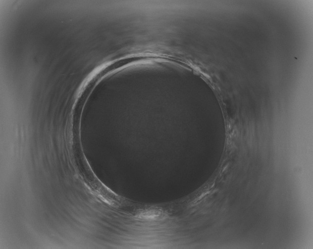 X0000080100200200612151629